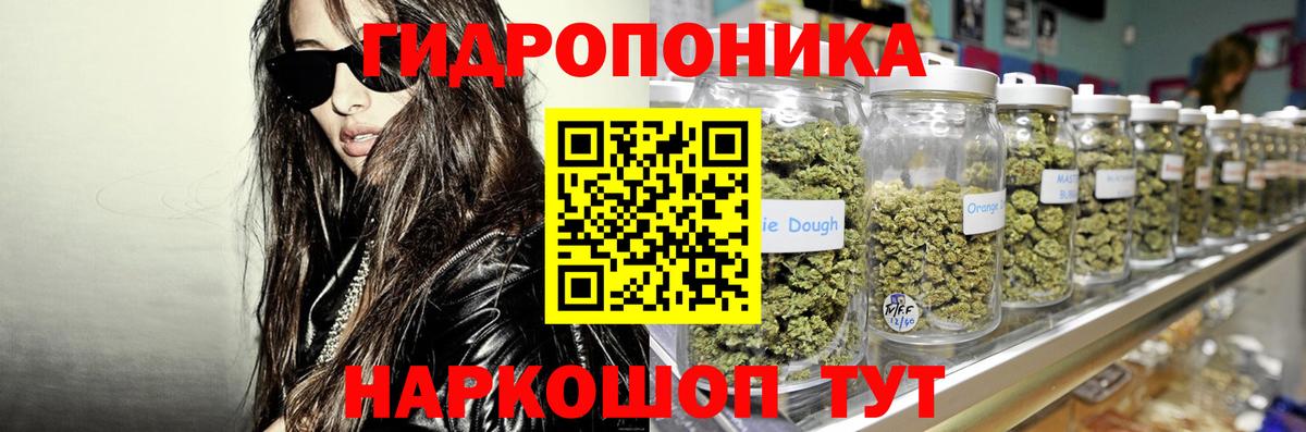 Бошки Шишки семена Вязьма